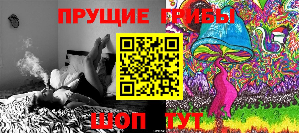 Галлюциногенные грибы ЛСД Пятигорск
